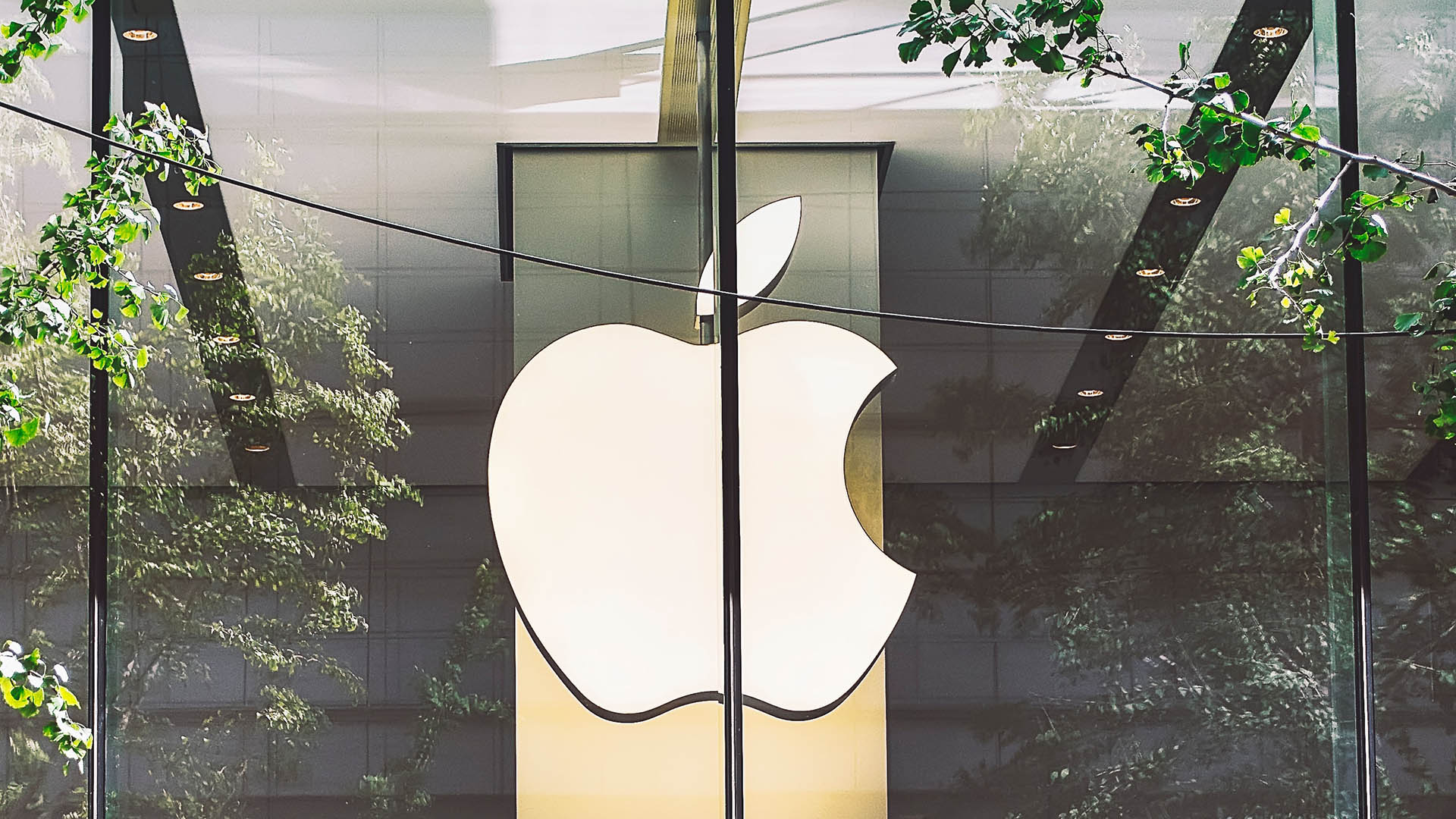 Apple Logo inside store glass walls