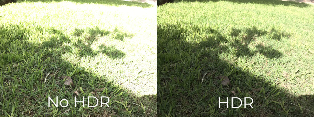 Photos of grass taken with and without H D R