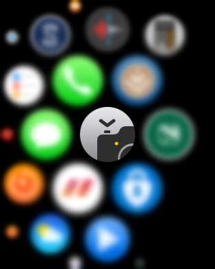Screenshot of Watch interface showing Camera app icon